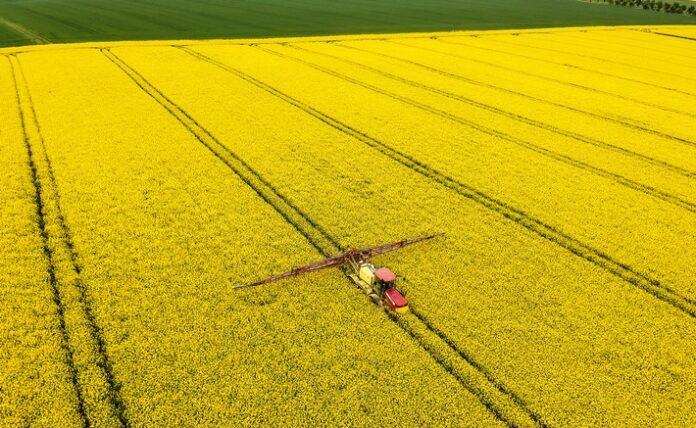 Rapsblüte 2021: Attraktiv und weltweit gefragt!
Es ist April und die Rapsfelder stehen endlich wieder in voller Blüte! In ansonsten nicht gerade einfachen Zeiten, in denen sich Spazierengehen zum Volkssport Nr. 1 entwickelt hat, bringen die auf über 1 Million Hektar wachsenden leuchtend gelben Rapspflanzen willkommene Abwechslung ins Landschaftsbild. Spaziergänger sind aber nicht die einzigen, die Gefallen an den blühenden Feldern finden, die Farbe in den Corona-Alltag bringen. Auch Rapsbauern haben gerade Freude an ihren Pflanzen. Grund sind die Rapspreise, die sich derzeit auf einem mehrjährigen Höchststand bewegen. Denn Rapsöl ist gefragt und das begrenzte Rapsangebot sowohl im Inland als auch aus dem Ausland treibt die Preise weiter in die Höhe. Ein Ende des Höhenfluges ist laut Branchenverband UFOP e. V. derzeit auch nicht in Sicht. Die Bauern freut es, aber die Verbraucherinnen und Verbraucher müssen sich laut UFOP nicht sorgen, denn die Verkaufspreise im Handel sind stabil. / Weiterer Text über ots und www.presseportal.de/nr/15598 / Die Verwendung dieses Bildes ist für redaktionelle Zwecke unter Beachtung ggf. genannter Nutzungsbedingungen honorarfrei. Veröffentlichung bitte mit Bildrechte-Hinweis.